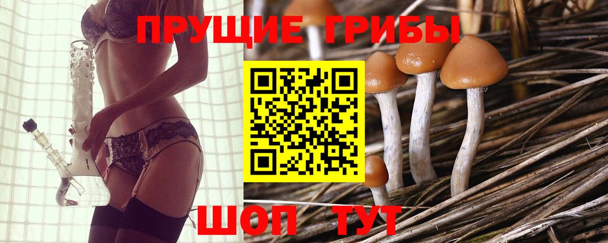 Псилоцибиновые грибы Magic Shrooms Аргун