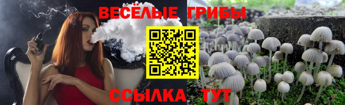 Аргун  Галлюциногенные грибы мицелий  сколько стоит  Псилоцибиновые грибы Psilocybe  Вход с VPN 
