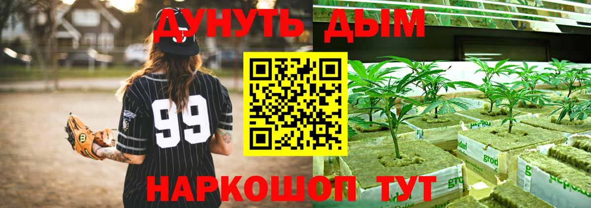 Конопля планчик  Марихуана гибрид  Каннабис White Widow  Вход с VPN  Аргун 